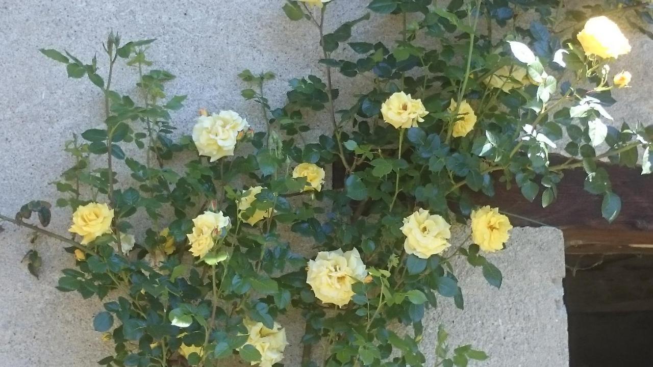 B&B Barbaia Levice Zewnętrze zdjęcie