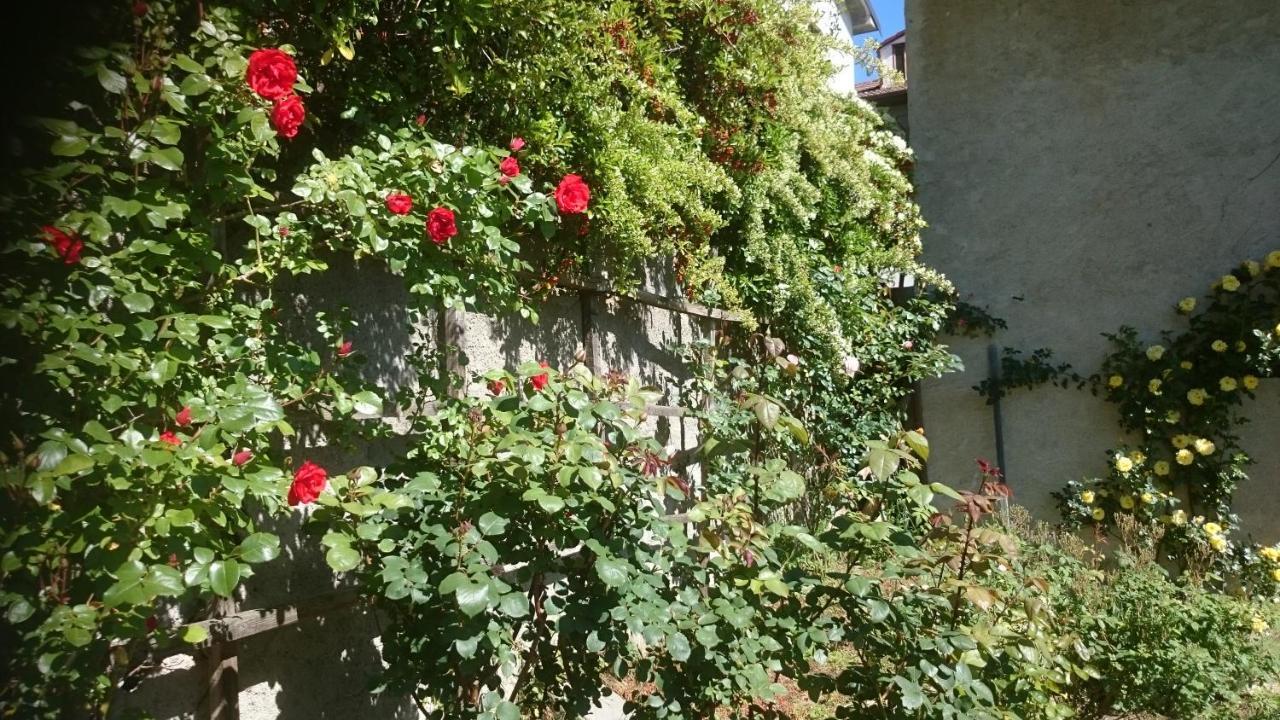 B&B Barbaia Levice Zewnętrze zdjęcie